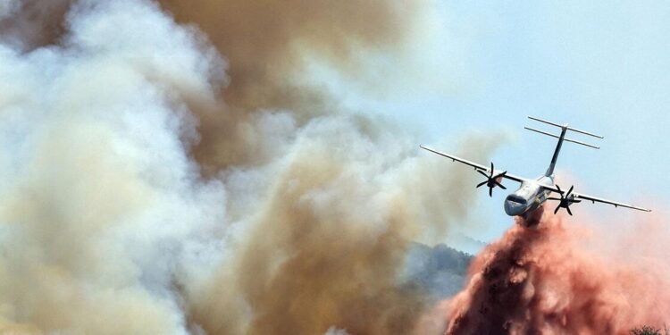 As wildfires unfold north, UN businesses race to assist Europe adapt — International Points