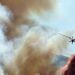 As wildfires unfold north, UN businesses race to assist Europe adapt — International Points