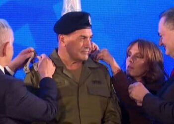 IDF chief’s spouse a director of co concerned in irregularities