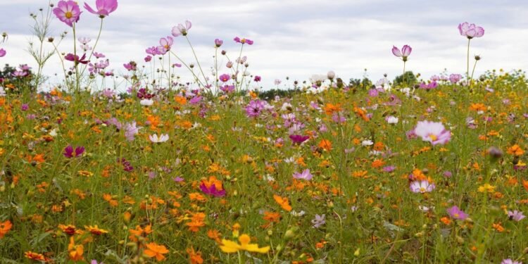Have a Beautiful (Lengthy) Weekend.