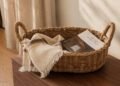 Reasonably priced Fall Residence Décor Underneath $100 That Seems to be Something However