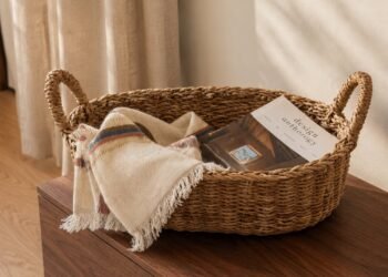Reasonably priced Fall Residence Décor Underneath $100 That Seems to be Something However
