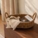 Reasonably priced Fall Residence Décor Underneath $100 That Seems to be Something However