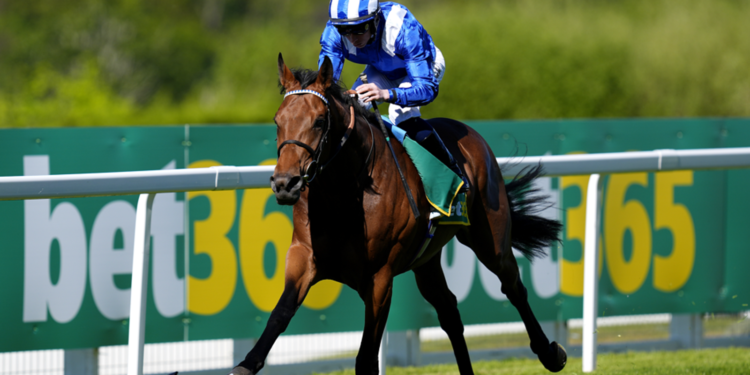 At the moment on Sky Sports activities Racing: Raaheeb goals to renew his development at Windsor | Racing Information