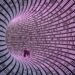 Confused about which VPN is true, US senator asks the NSA for steerage