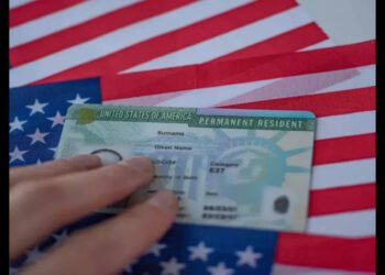 America has loved the best free lunch in historical past: Vivek Wadhwa reacts to Inexperienced Card crackdown on 8 IT firms, says they don’t seem to be the visa abusers