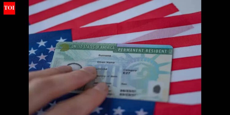 America has loved the best free lunch in historical past: Vivek Wadhwa reacts to Inexperienced Card crackdown on 8 IT firms, says they don’t seem to be the visa abusers