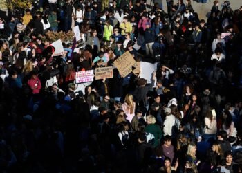 After the Cornell Case, Ought to Faculties Ban Fraternities?