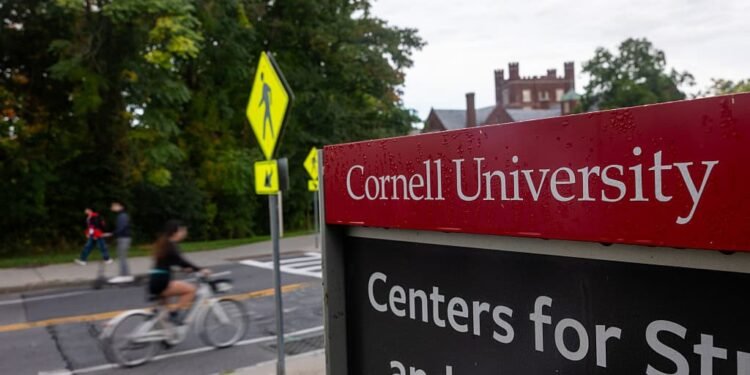 The System That Failed Cornell’s Jane Doe