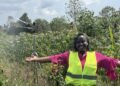 Renewables, Farmer Aggregation Provide Options to Africa’s Publish-Harvest Losses — World Points