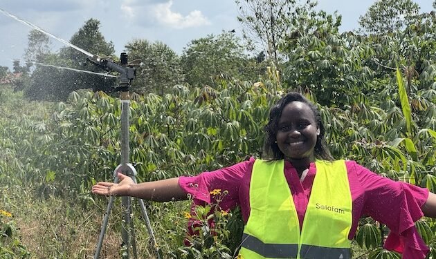 Renewables, Farmer Aggregation Provide Options to Africa’s Publish-Harvest Losses — World Points